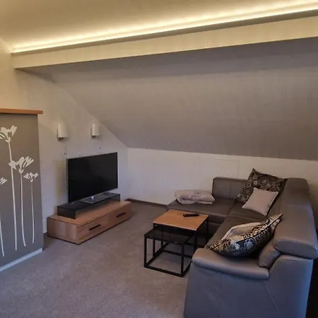 Apartment Haus Daut Mit Hallenbad Willingen (Upland)