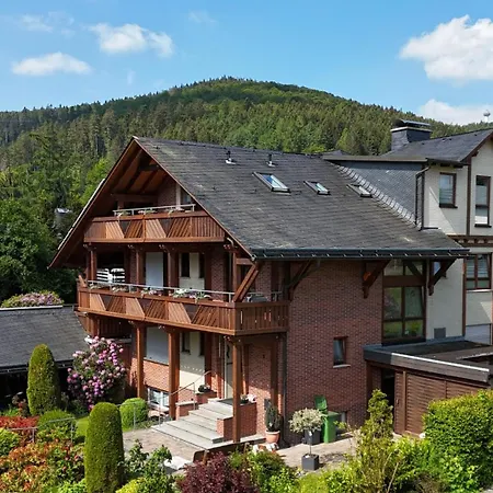 Haus Daut Mit Hallenbad Apartment Willingen (Upland)